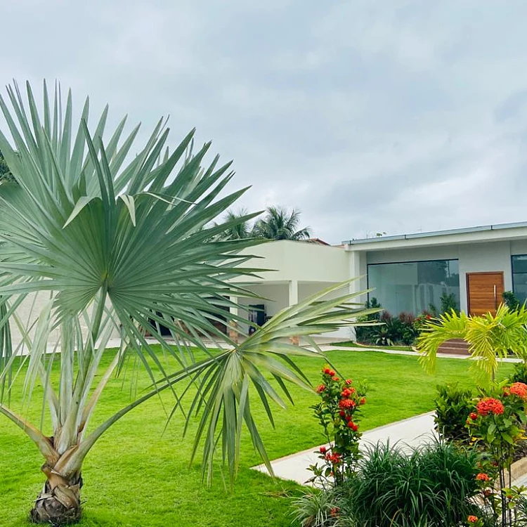 Salão de Festas - Espaço Versalhes